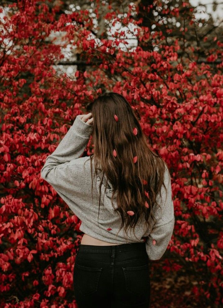 id 71811271