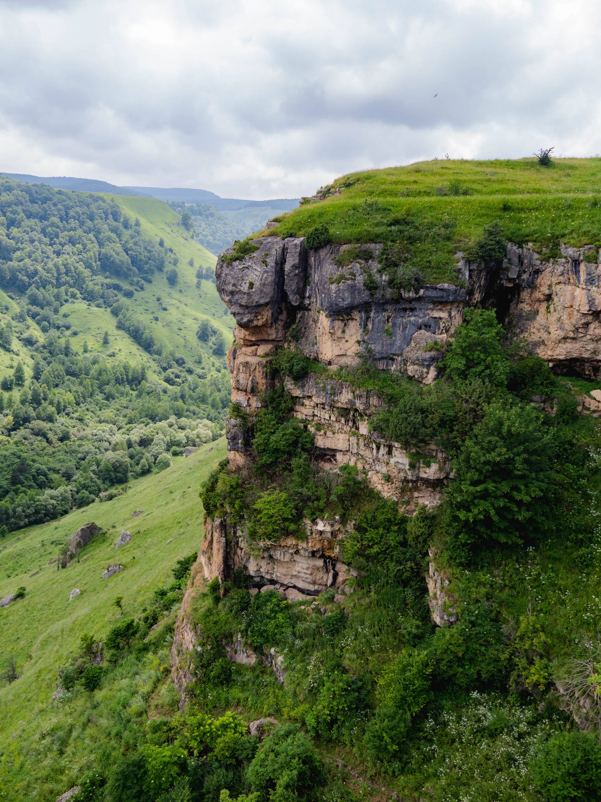 id 27155919