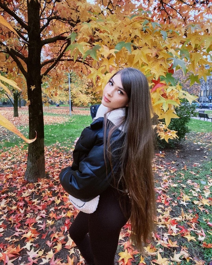 id 93904185