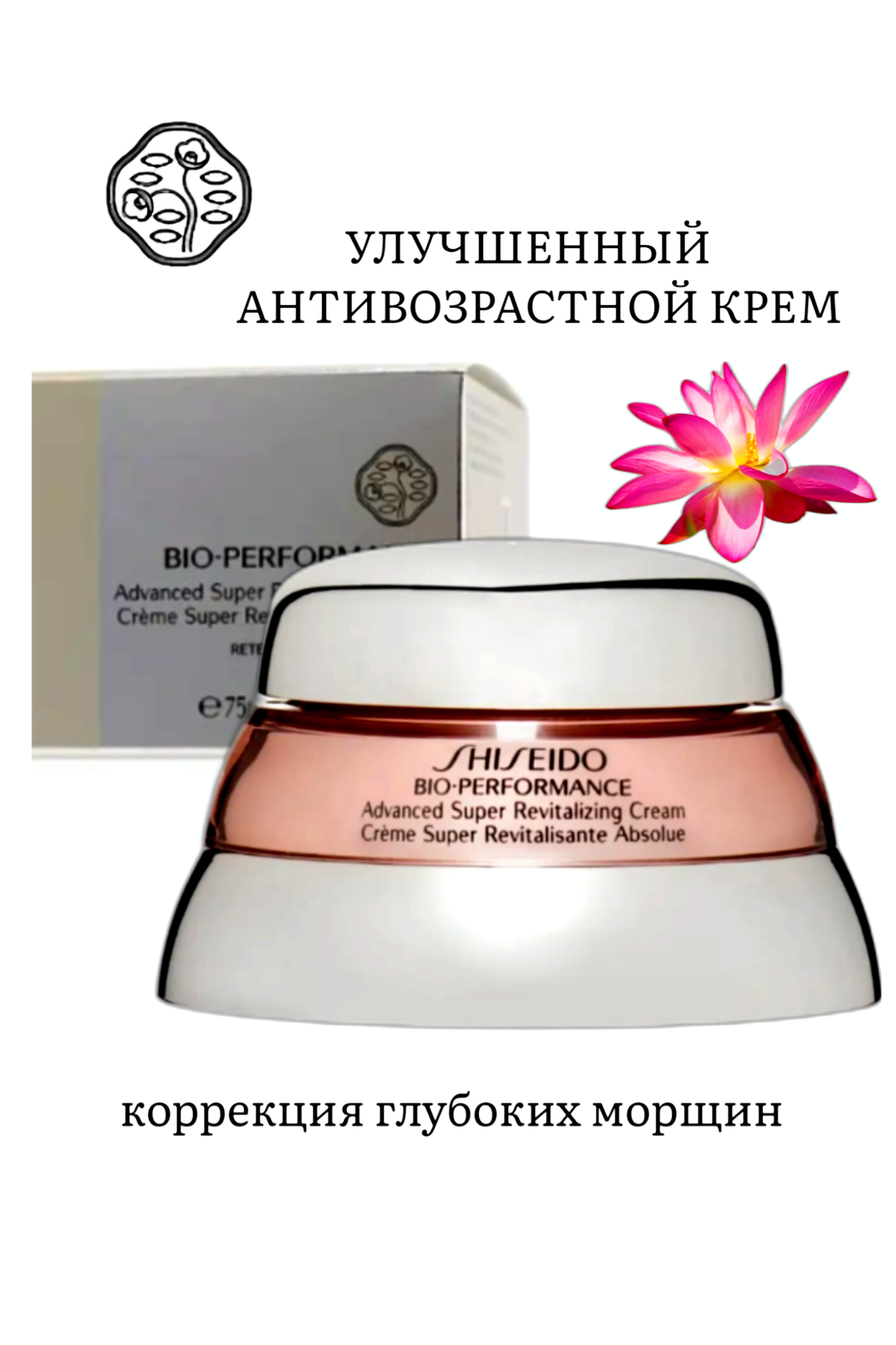 id 87631525