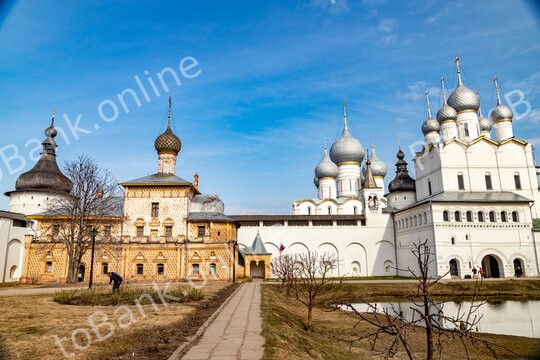 id 38456081