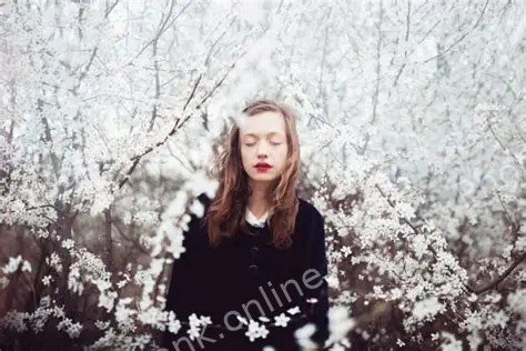 id 48295005