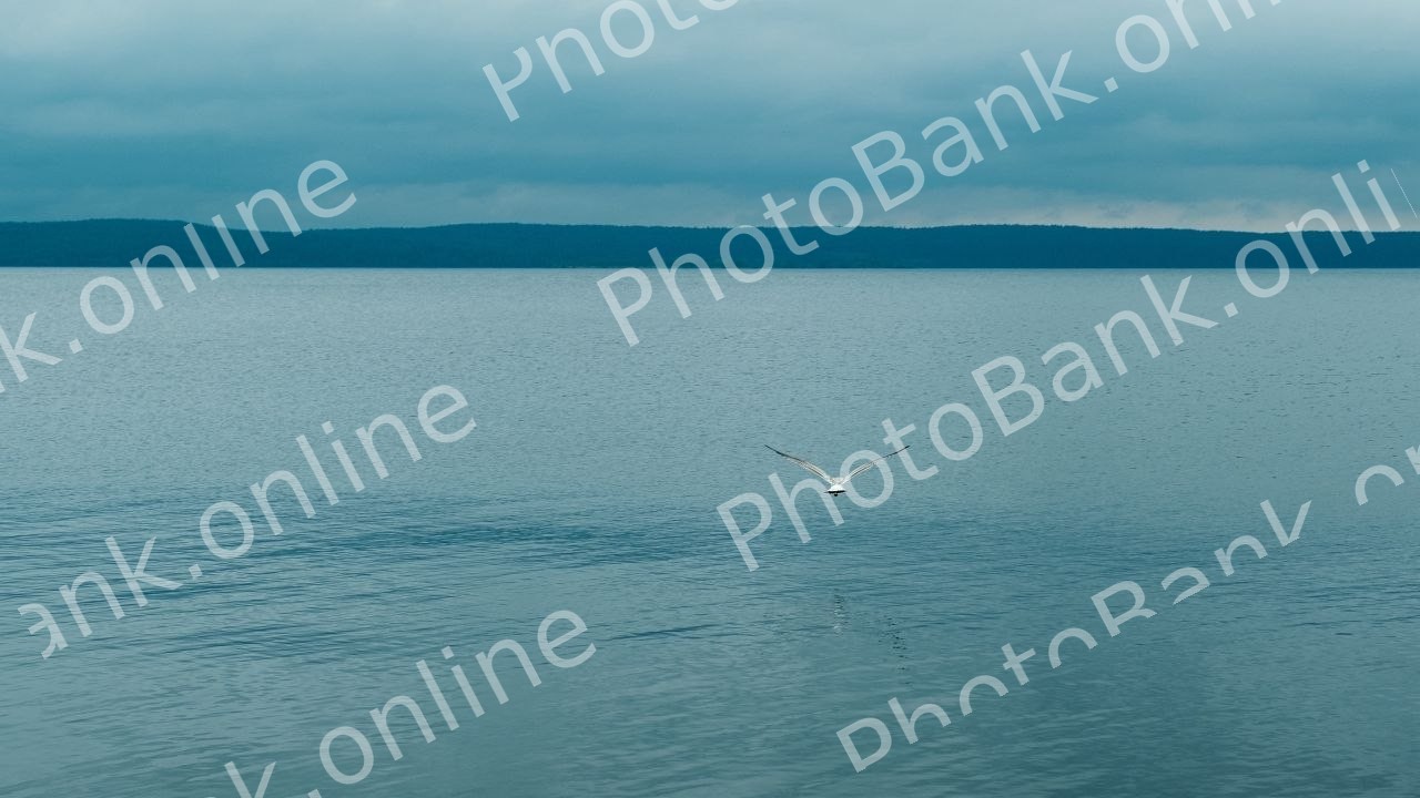 id 91848204