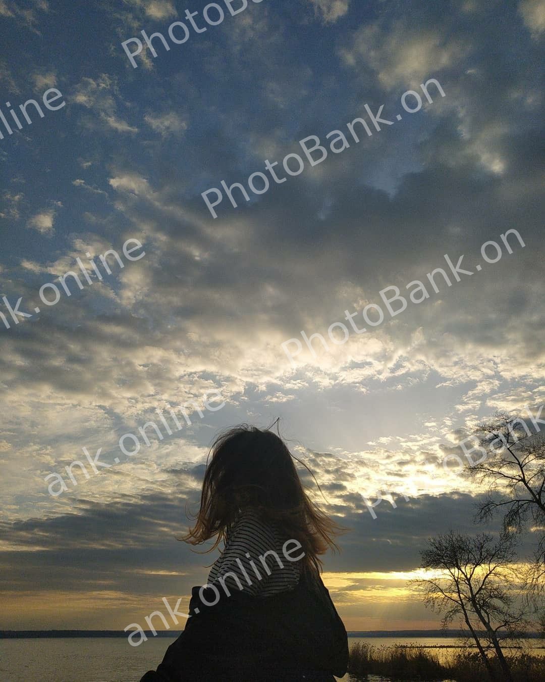 id 12249911