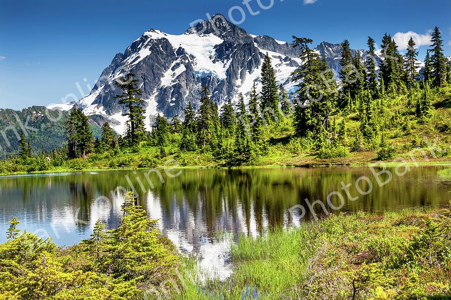 id: 191940969