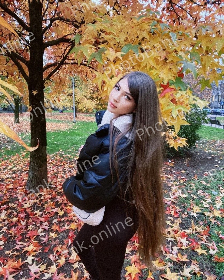 id 93904185